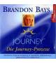 Brandon Bays - worldwide2.jpg